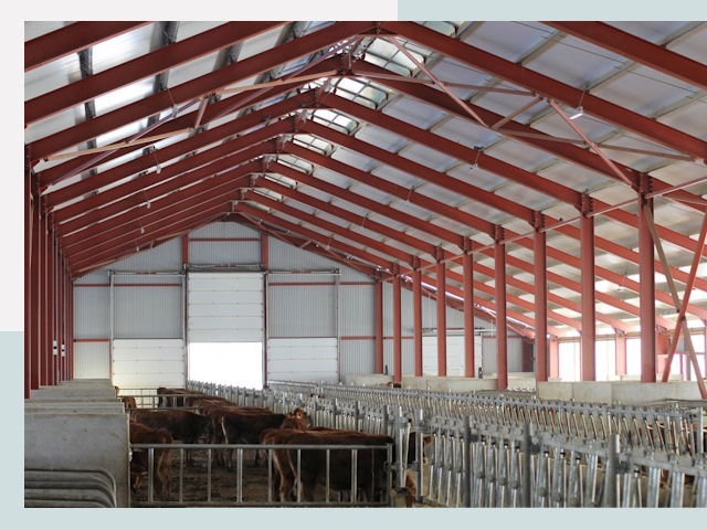 Строительство коровников в Шадринске